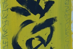 CDSC00137